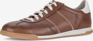 Pius Gabor Sneaker in Braun: Vorderseite