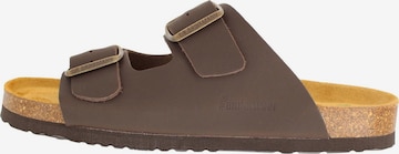 DR. BRINKMANN Mules 'Bonillo' in Brown: front