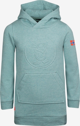 TROLLKIDS Kleid in Grün: Vorderseite