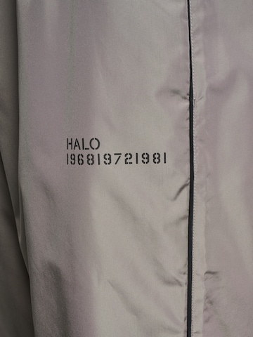 HALO Tapered Trousers in Grey
