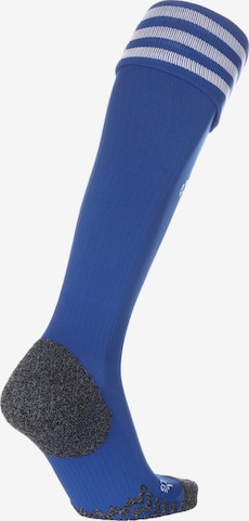 ADIDAS SPORTSWEAR Soccer Socks in Blue