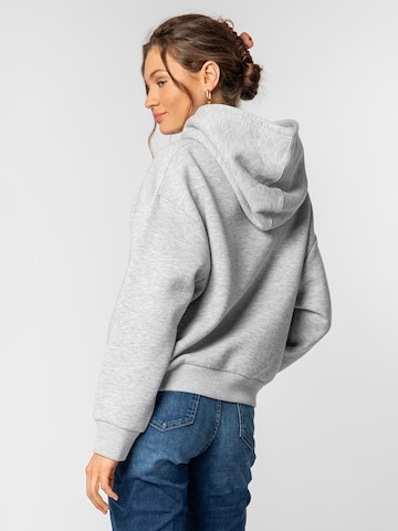 Sublevel Sweatshirt in Grau