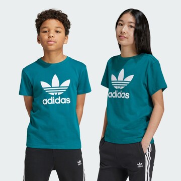 ADIDAS ORIGINALS Shirt ' Adicolor Trefoil' in Blue: front