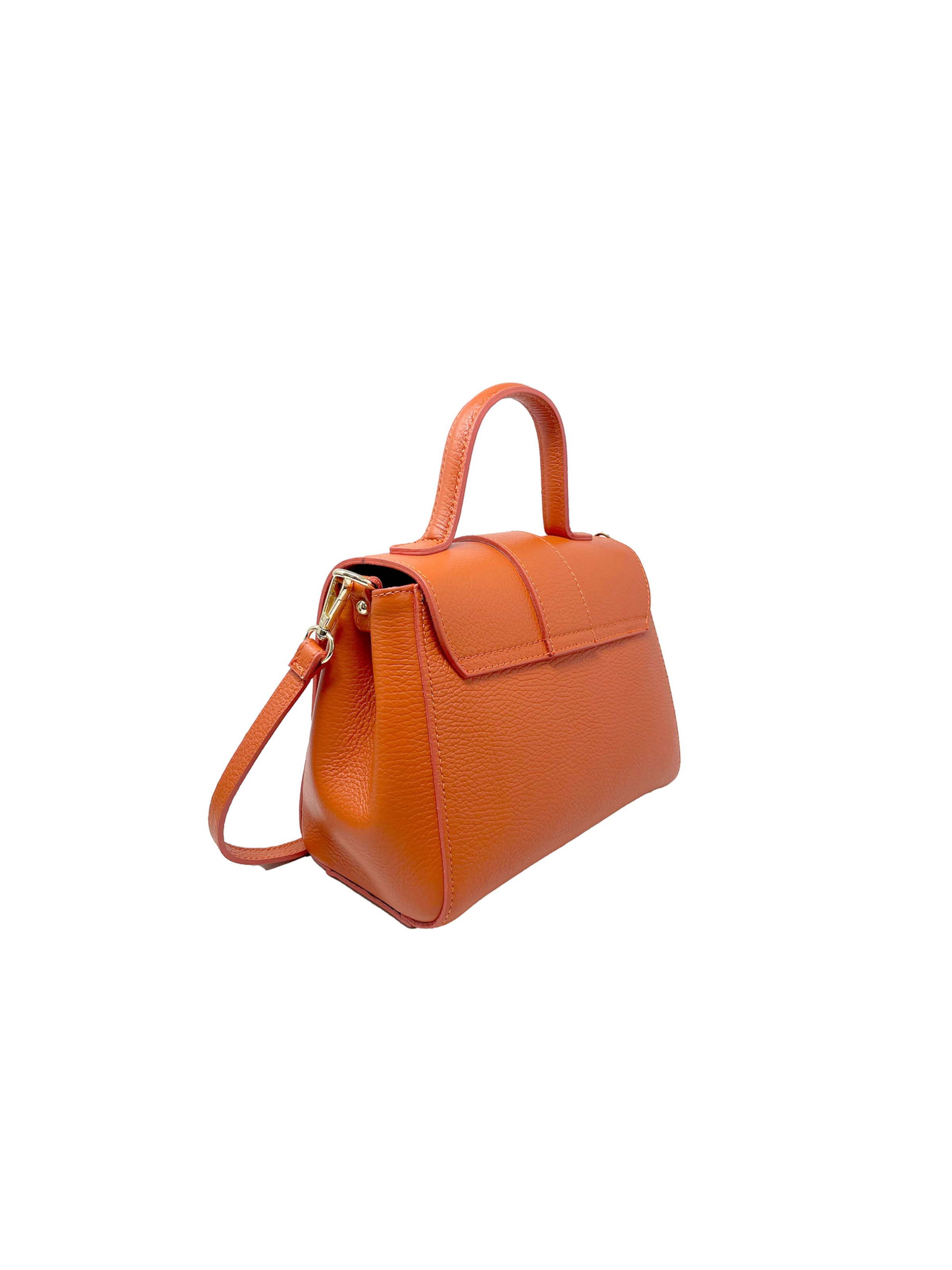 CHICCA BORSE Handbag in Orange