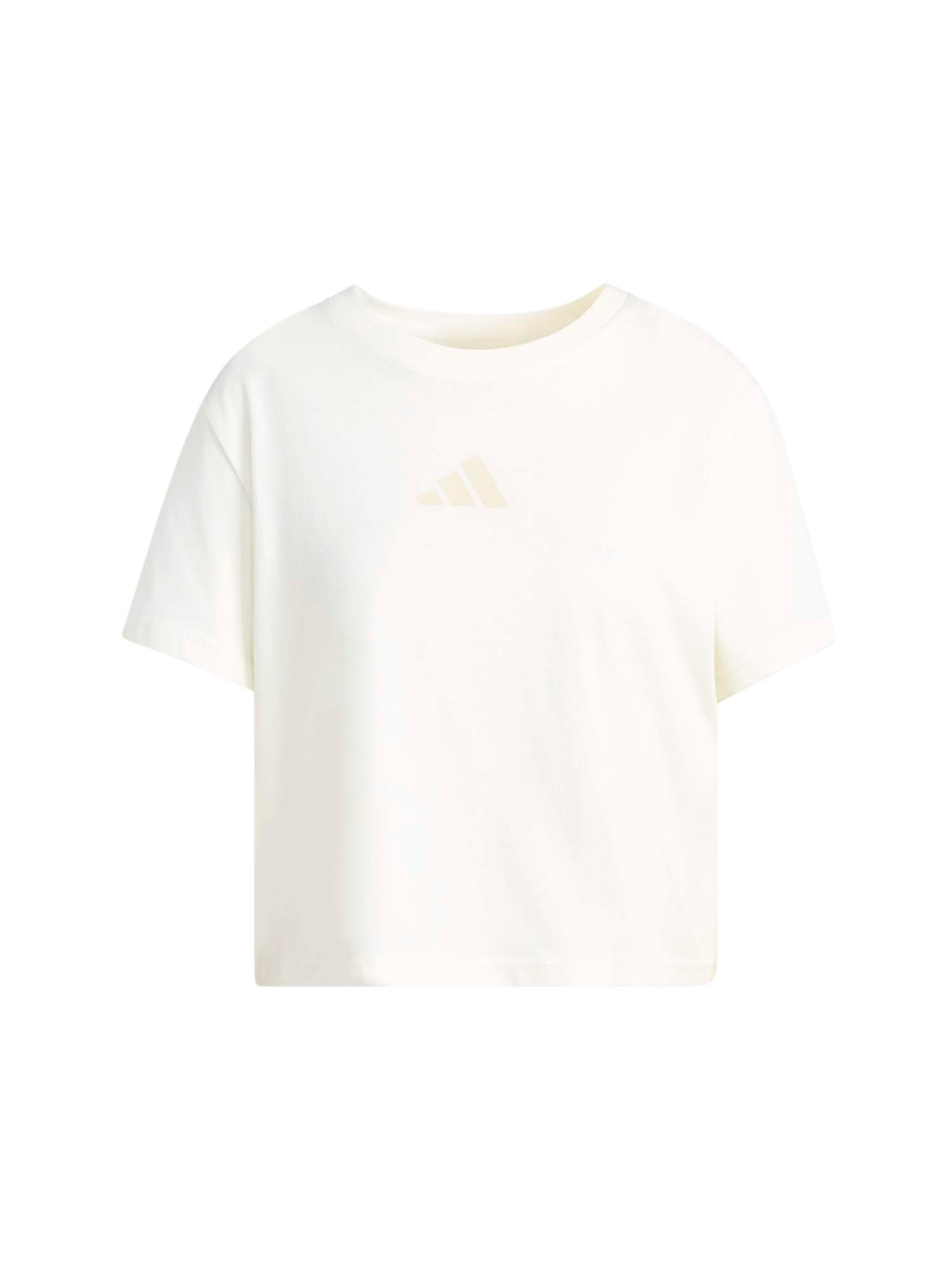 ADIDAS TERREX Funktsionaalne särk, värv valge: eest vaates