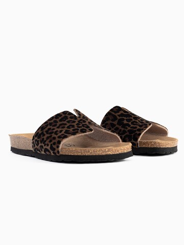 Bayton Mule 'Djilian' in Brown