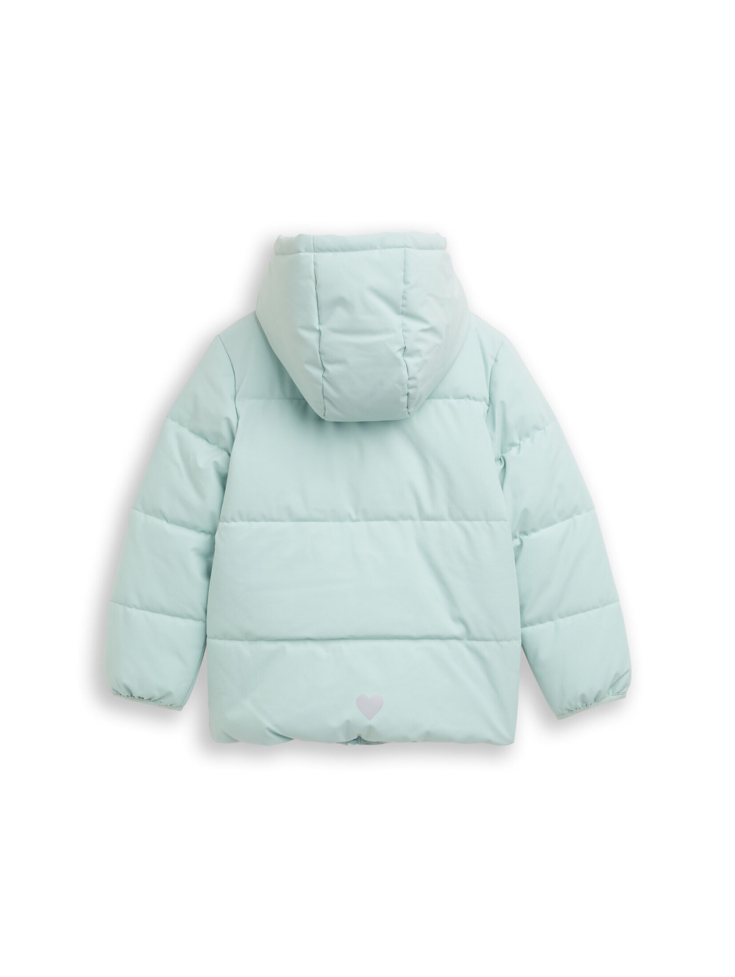 TOM TAILOR Winter jacket in Blue