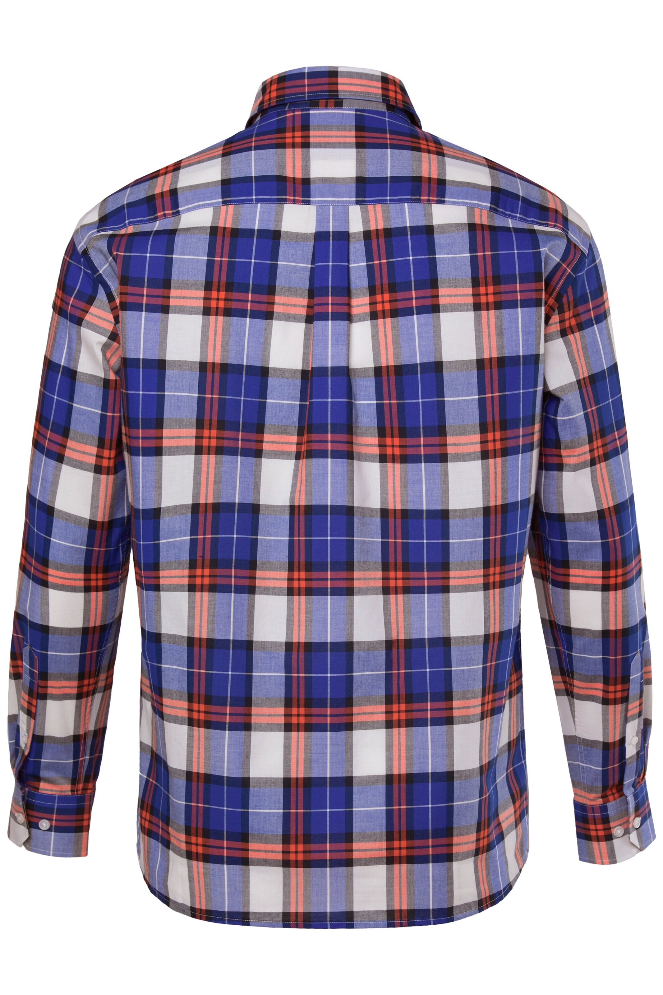 Men Plus Regular Fit Hemd in Blau