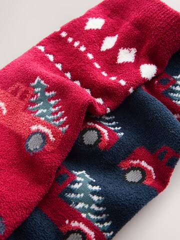 Next Socken in Mischfarben