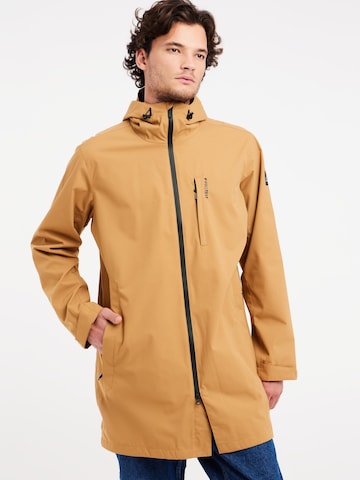 PROTEST Winter jacket 'PRTTHOREAU' in Brown