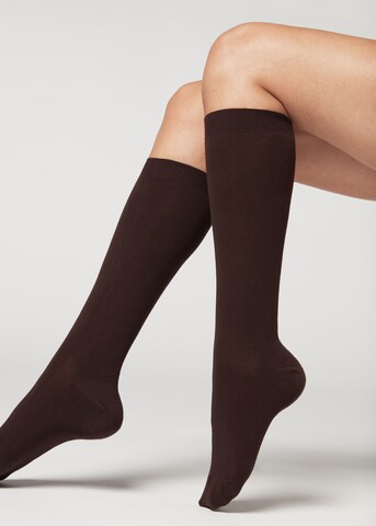 CALZEDONIA Knee High Socks in Brown: front