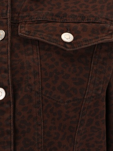 Only Petite Between-Season Jacket 'ONLANLIE' in Brown