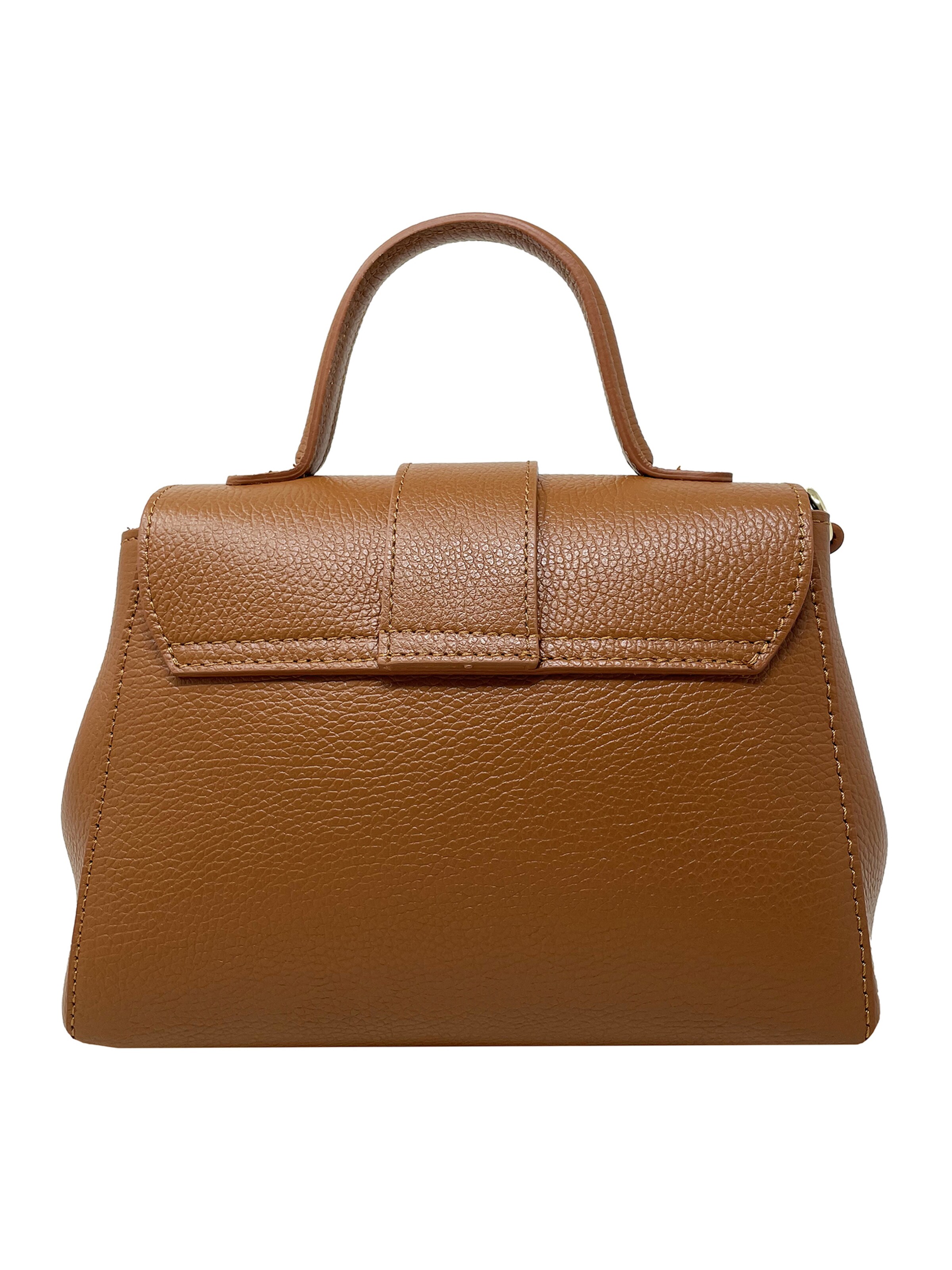 CHICCA BORSE Handbag in Brown
