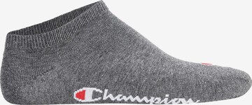 Champion Authentic Athletic Apparel Socks in Blue