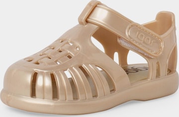 Claquettes / Tongs IGOR en or : devant
