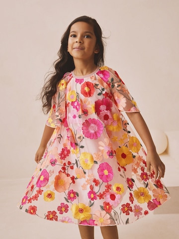 Rochie de la Next pe roz: față