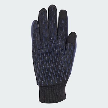 ADIDAS PERFORMANCE Athletic Gloves 'FFR FP' in Blue
