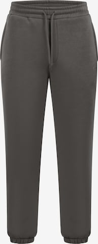 Smilodox Trousers in Grey: front