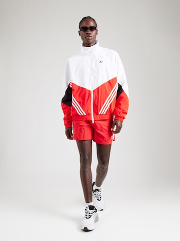ADIDAS ORIGINALS Normalny krój Spodnie 'Adicolor Classics Sprinter' w kolorze czerwony