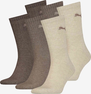 PUMA Athletic Socks in Brown: front