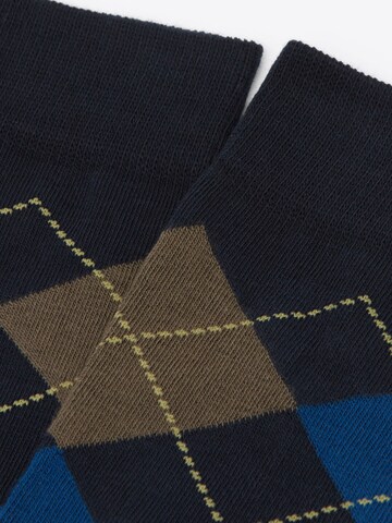 CALZEDONIA Socken in Schwarz