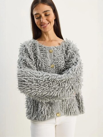 Bianco Lucci Gebreid vest in Grijs