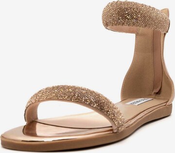 STEVE MADDEN Strap Sandals 'Infuse-R' in Gold