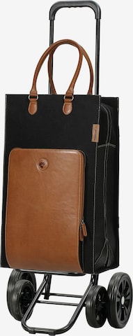 Valisette Andersen Shopper en marron : devant