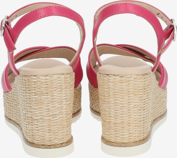 Nero Giardini Sandals in Pink