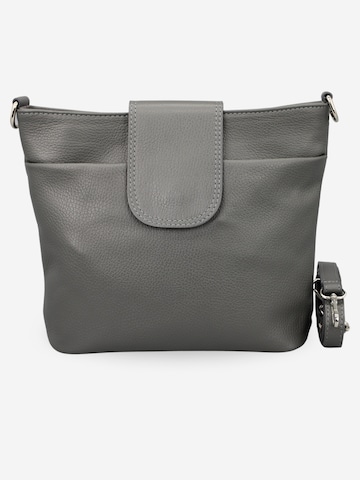 Brise Crossbody Bag 'Ellie' in Grey: front