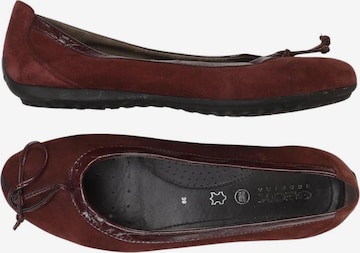GEOX Flats & Loafers in 39 in Red: front