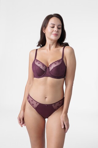 Slip 'Elvera' Dorina en rose