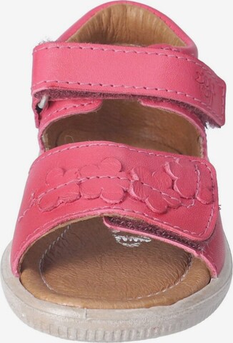 Pepino Sandale 'Tildi' in Pink