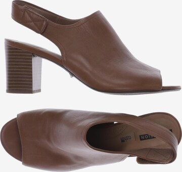 CLARKS Sandals & High-Heeled Sandals in 41,5 in Brown: front