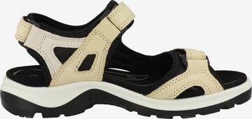 Sandales de randonnée 'Offroad' ECCO en beige