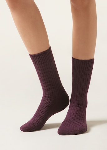 CALZEDONIA Socken in Lila: Vorderseite