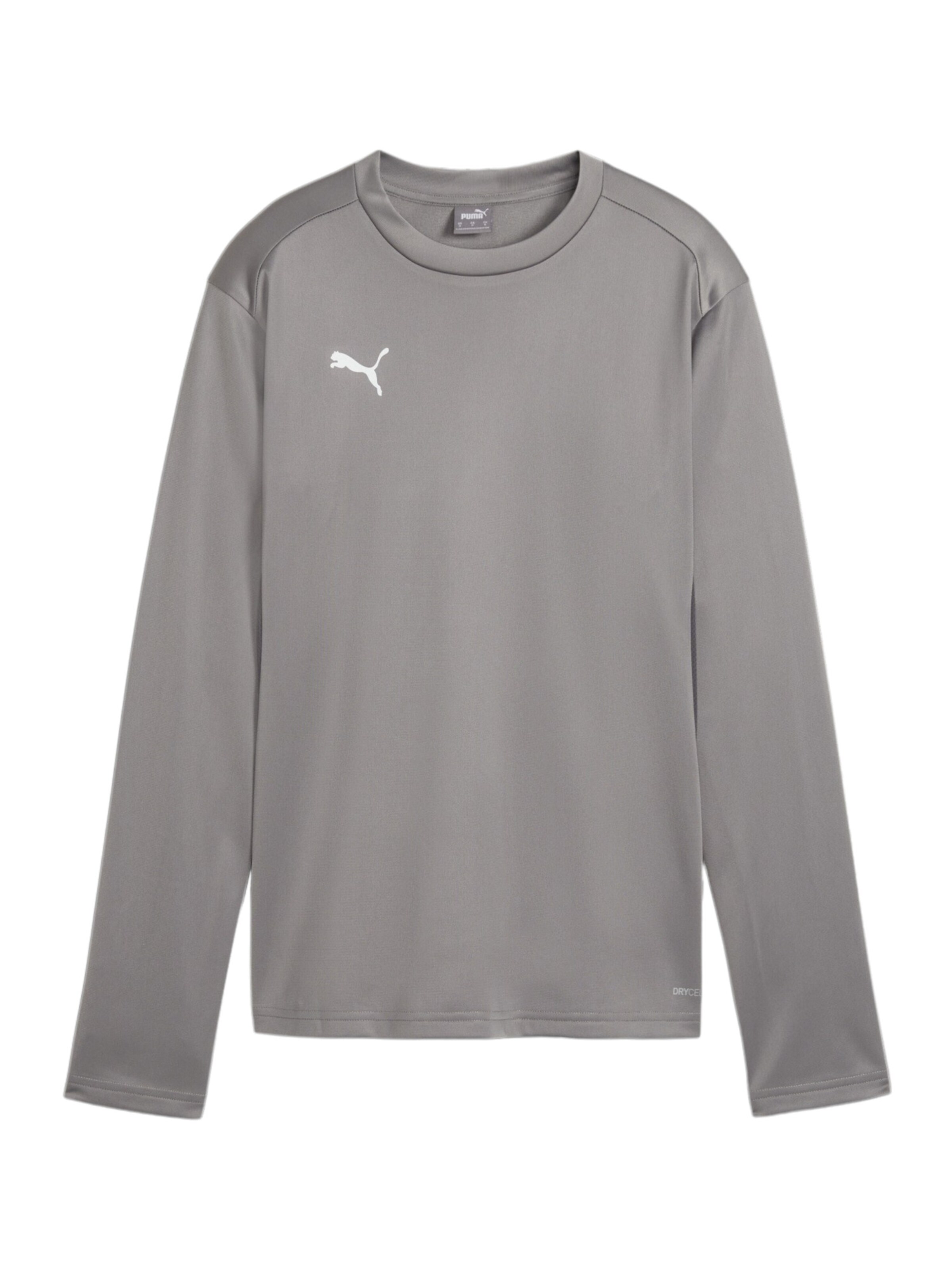 PUMA Sportsweatshirt in Grau: Vorderseite