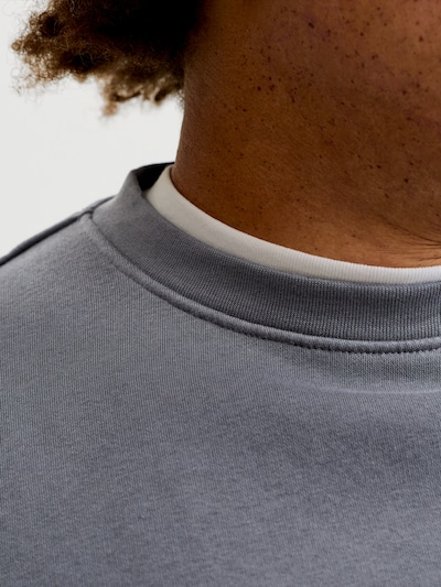 Jack & Jones Plus Суичър 'JJESOHO' в размер 4XL в сиво / бяло, Преглед на продукта
