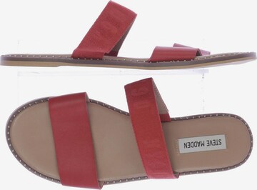 STEVE MADDEN Sandalen 41,5 in Rot: predná strana