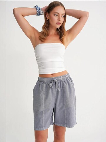 MixRay Regular Broek in Grijs