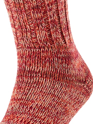 FALKE Socken 'Brooklyn'‌‌‌‌‌‌ in Rot