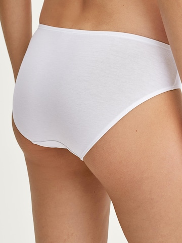Slip 'Essential Cotton' di CALIDA in bianco