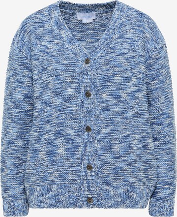 usha BLUE LABEL Gebreid vest in Blauw: voorkant