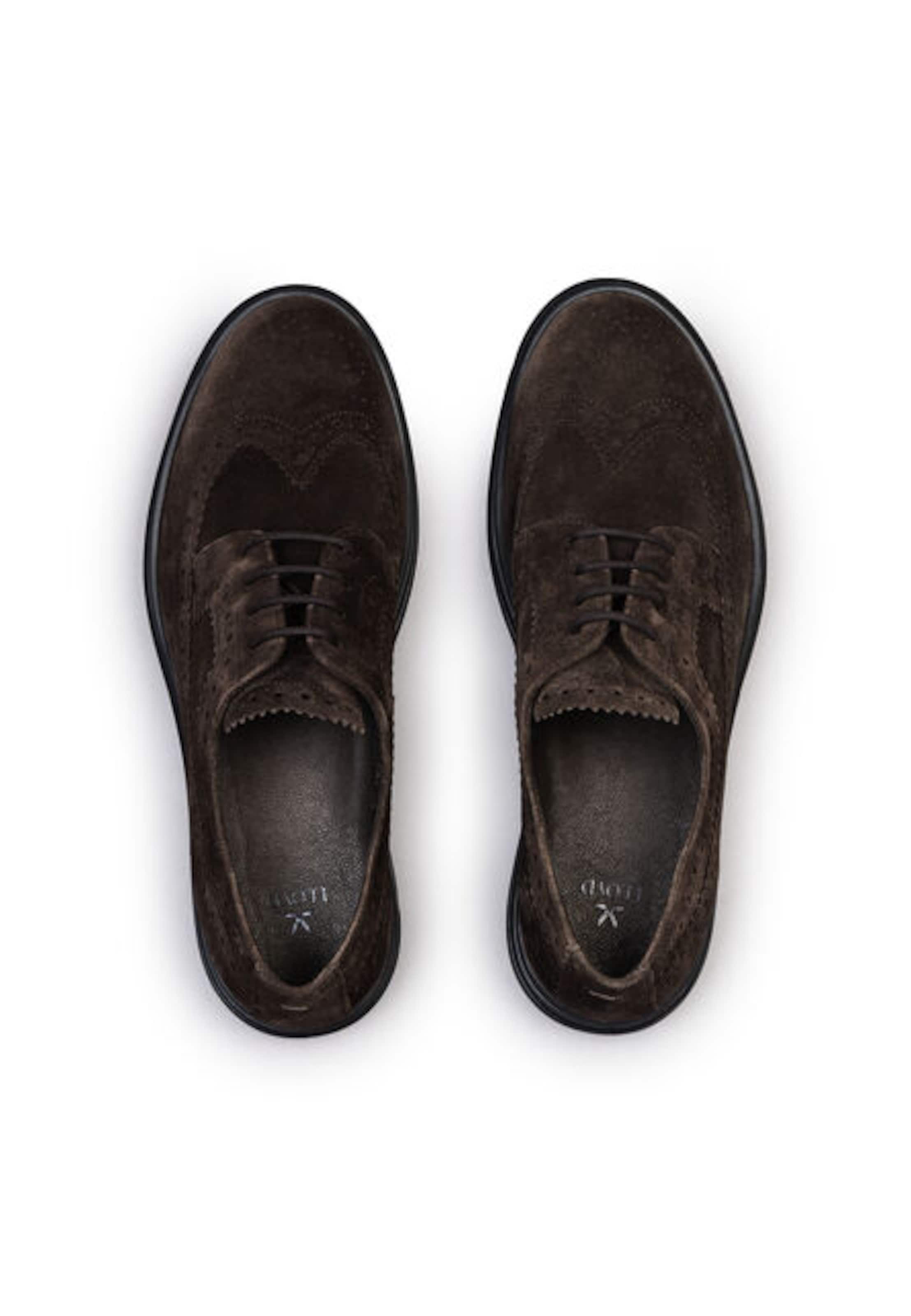 Chaussure à lacets LLOYD en marron