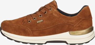 ARA Sneakers in Brown