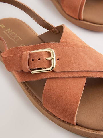 Next Sandals in Brown