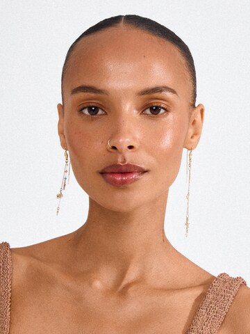 Boucles d'oreilles Pilgrim en or : devant