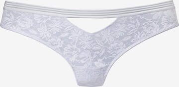 LASCANA Thong in White: front