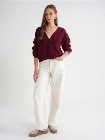 MixRay Knit Cardigan in Red