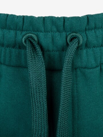 SPITZBUB Regular Pants 'Ludis' in Green